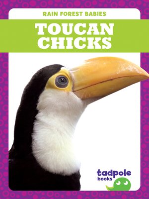 cover image of Toucan Chicks
